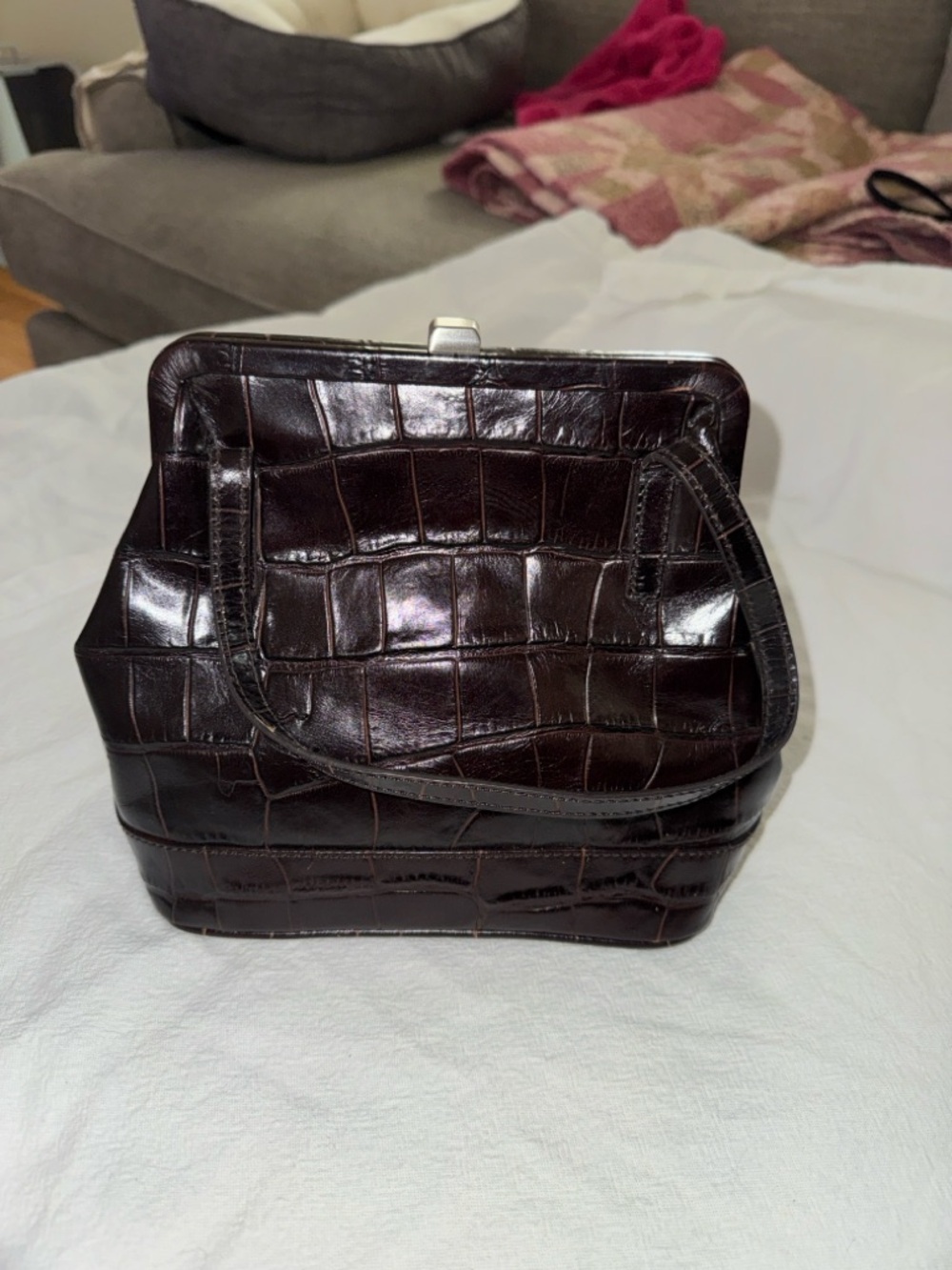 Maxx New York Croc-Embossed Frame Clutch in Dark Brown with Hot Pink Lining